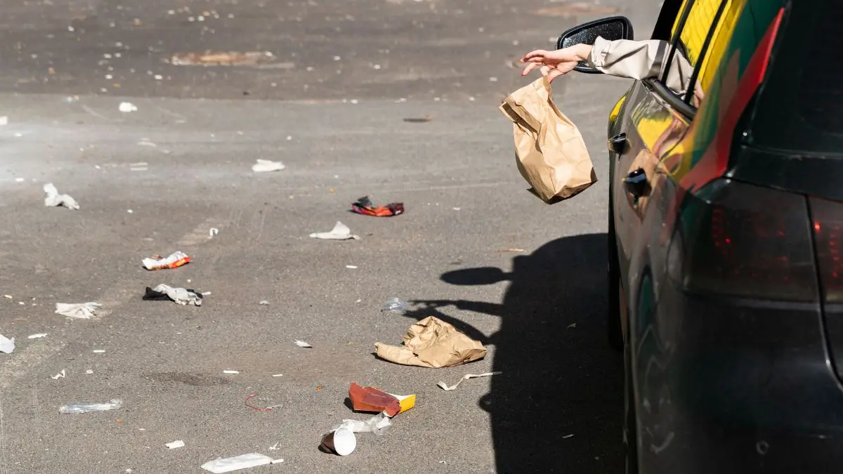 Jogar lixo na rua é crime ambiental